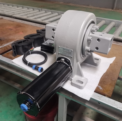 CPV CSP VE3 3in a massacré l'anti contrecoup de Ring Drive Hourglass Worm Gear