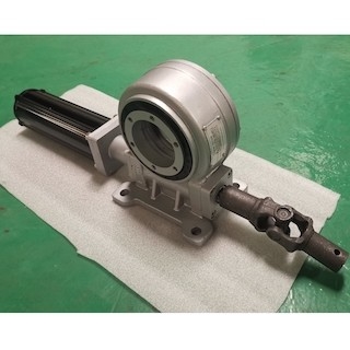CPV CSP VE3 3in a massacré l'anti contrecoup de Ring Drive Hourglass Worm Gear